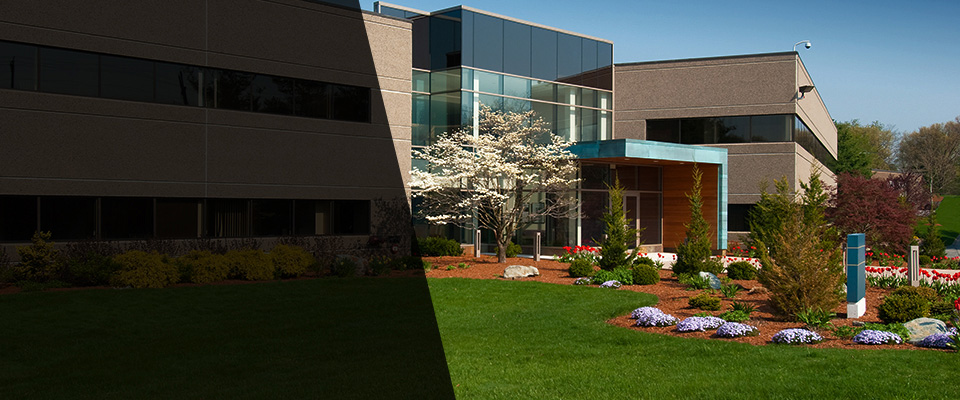 Rocky Point Landscapers