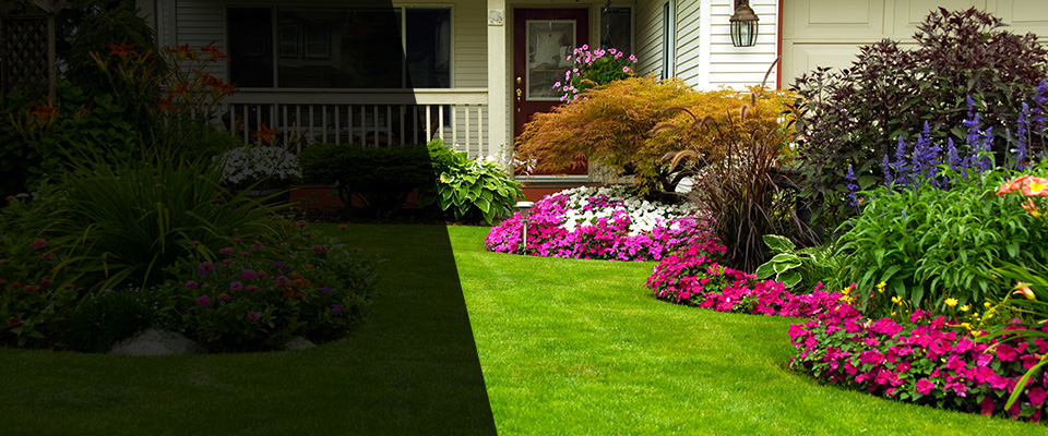 Rocky Point Landscapers
