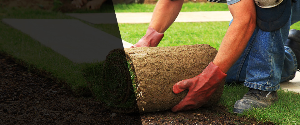 Rocky Point Landscapers